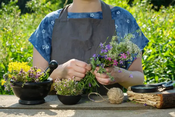 Magical plants